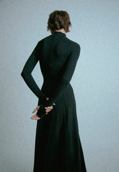 The Turtleneck Dress